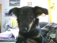 Video call snapshot 3.png
