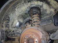 vyvapkovanej zadek.JPG