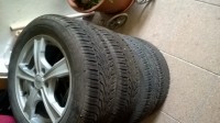 WP_20161127_012.jpg