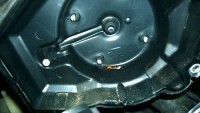 WP_20170226_009.jpg