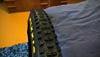 WP_20170331_19_06_43_Pro.jpg