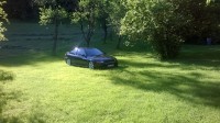 WP_20170609_001.jpg