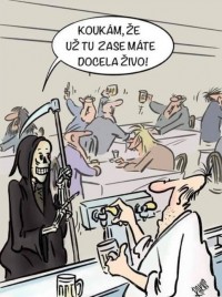 zivo.jpg