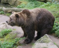 ZOO Děčín 6.10.2012 095 – kopie.JPG